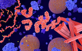 Breakthrough Gene Therapy Shows Promise for Treating Alzheimer's Disease