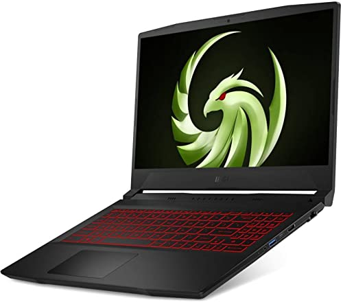 MSI Bravo 15 (Ryzen 5 5600H, RX 5500M, 16GB RAM)