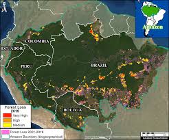 Amazon Tipping Point: Deforestation Surges Past Critical Threshold as Brazil's Contradictory Policies Spark Global Alarm